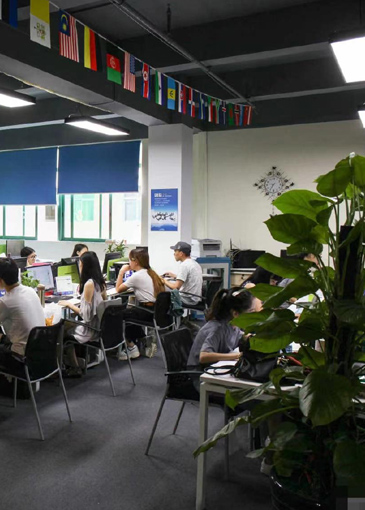 About us